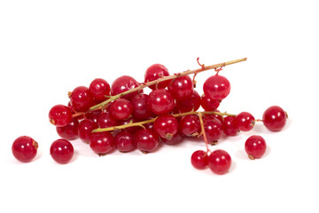 red currant berries white background