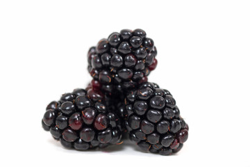 blackberries white background