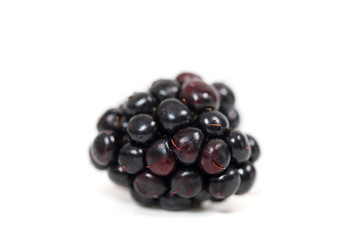 blackberries white background