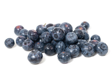 blueberries white background