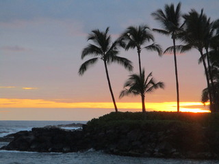Fototapeta na wymiar Sunset and Palm Trees at Kailua Bay Kona Hawaii