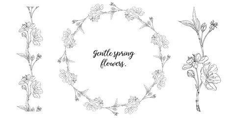 floral graphic composition with spring flowers