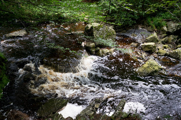 stream in between moss covered rocks