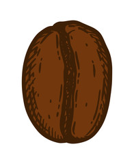 Dark roasted coffee bean isolated over white