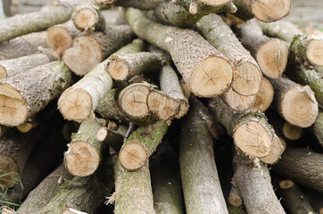 A pile of tree branches cut into firewood with a chainsaw, a background of logs.
