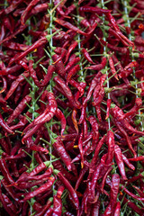 Fototapeta premium Red bell peppers background, bunch of red bell peppers.