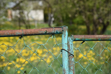 Closed metal gate to the garden
