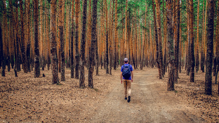 guy walks along a path in the woods among the trunks of pines