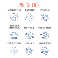 Probiotics. Lactic acid bacteria. Good bacteria and microorganisms for gut and intestinal flora health. Microbiome. Bifidobacterium, lactobacillus,  lactococcus, thermophilus streptococcus. Vector set