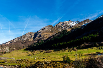 A picturesque panoramic view of the high snow capped Pyrenees mountain range on a winter day under warm sunlight (Arrens-Marsous, Hautes-Pyrenees, France)