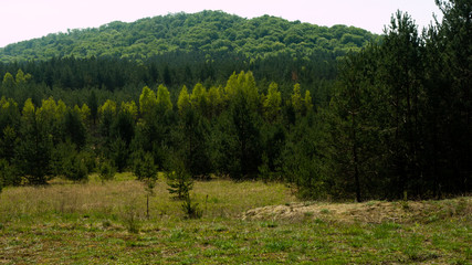 
View of the Sokolich Mountains Reserve. Free entry space.