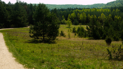 
View of the Sokolich Mountains Reserve. Free entry space.