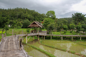 Pai bamboo bridge with some houses and rice fields next to it