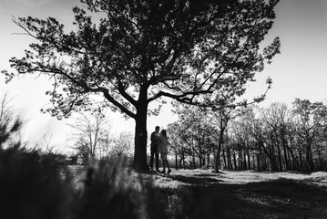 Husband with his pregnant wife walking in park,general plan of a pregnant couple walking in nature