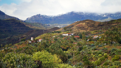 Fototapeta na wymiar snow, villages and palm trees in the mountains of Gran Canaria