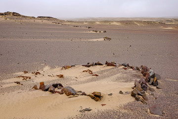 Fototapeta na wymiar ancient mysterious rock circles on the skeleton coast, namibia