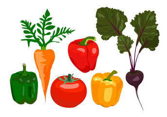 Vegetable set, organic ingredients. Tomato, beets, carrots, peppers on a white background. Can be used for menu labels, dishes, poster.