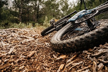 Bicycle on dry wood in forest