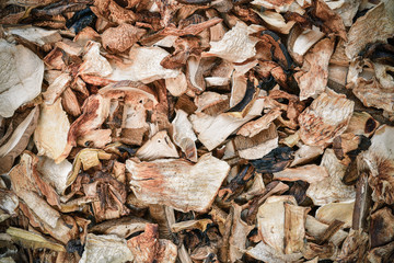 Scattered dried edible mushrooms, a healthy natural addition to dishes.