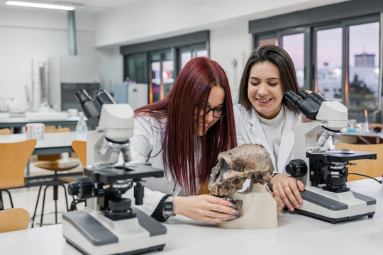 Young scientists examining skull in lab
