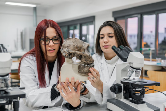 Young women in white robes examining old skull of primate near microscope during anthropology lesson in contemporary laboratory