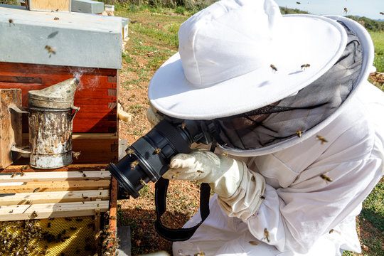 From above side view of unrecognizable beekeeper in protective costume and gloves taking picture with photo camera of beehive in apiary
