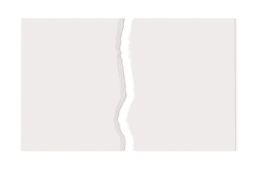 Torn blank paper sheet 3d rendering