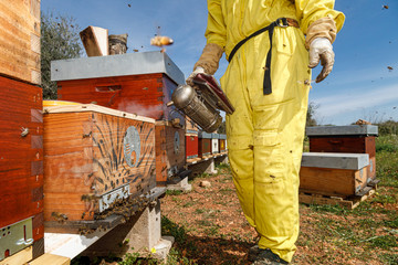 Cropped unrecognizable beekeepers in protective costume and mask using smoker while inspecting honeycomb in apiary