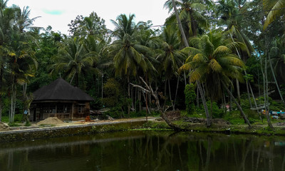 beautiful village in Payakumbuh, extraordinary
