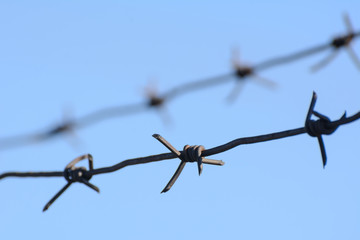 Against the blue sky, black is dominated by barbed wire. Concept - isolation, imprisonment
