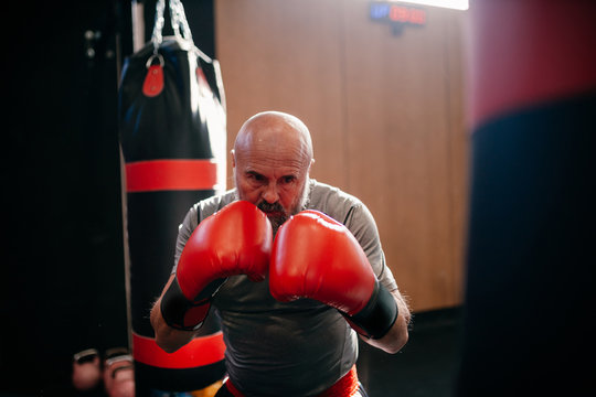 Strong focused mature adult sportsman in red boxing gloves practicing punches during workout in modern club