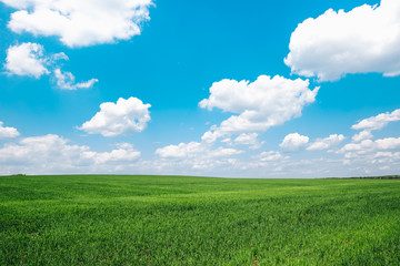 Beautiful green meadow field hill with white clouds and blue sky
