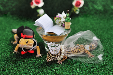 Cute gecko eublefar in a suit and dress celebrate a wedding on green grass under an arch with a bouquet and wine.