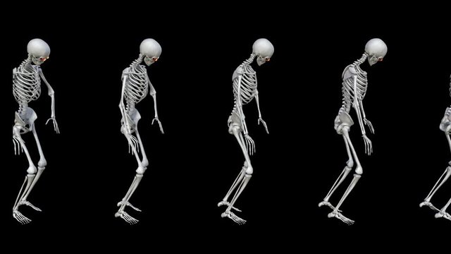 skeletons strolling , animation , transparent background