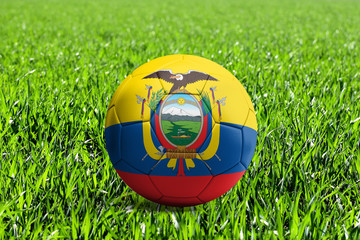 Ecuador Flag on Soccer Ball