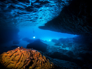 Seascape of coral reef in the Caribbean Sea / Curacao with Diver in cave 