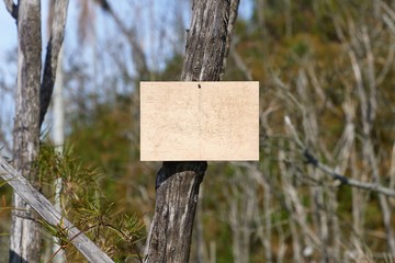 Blank empty sign board on a forest path fixed on a tree