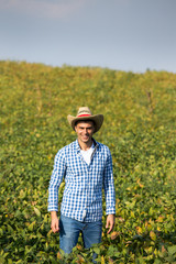 Farmer standing in soybean field