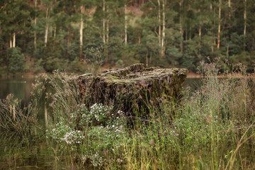 Beautiful lake setting at Bogong, Victoria Australia