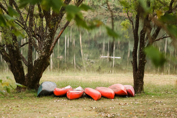 Row of canoes on bank of Lake Bogong, Victoria Australia