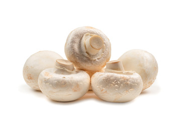Champignon mushroom isolated on white background.