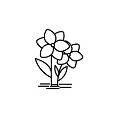 orchid line illustration icon on white background