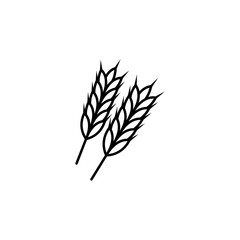 wheat line illustration icon on white background
