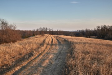 Dirt road in a countryside field in dry late autumn