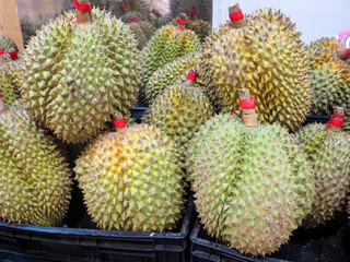 Exotic durian fruit at a street market, Thailand.