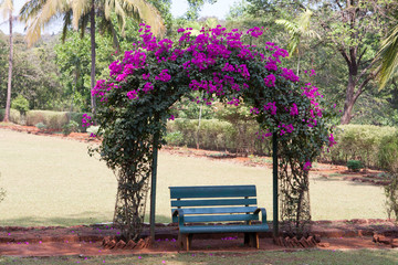 bench in the park under the arch with roses