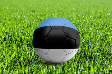Estonia Flag on Soccer Ball