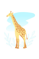 Naklejka premium Yellow giraffe on white background. Animal Cartoon greeting card. African Template vector illustration. Camelopard flat character isolated postcard. Wildlife children print art