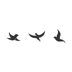 flying bird icon vector illustration design