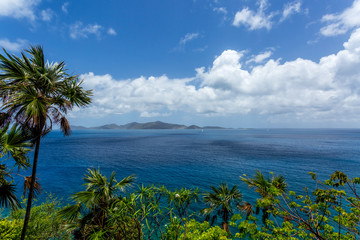 tropical island view